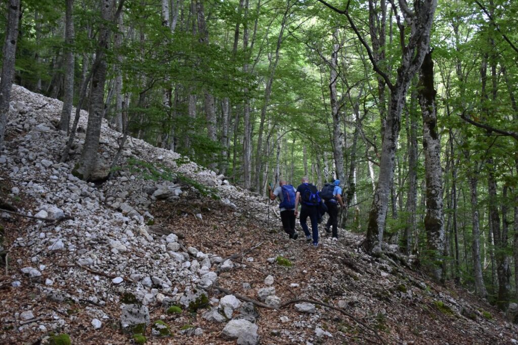 Planinarenje Doljani - Stipića livada 2025